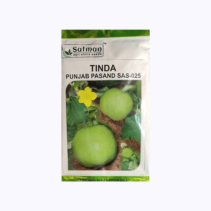 Satman Punjab Pasand SAS-025 Tinda Seeds