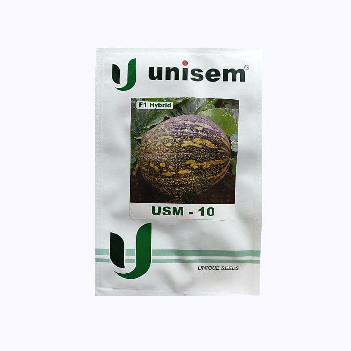 Unisem USM-10 Pumpkin Seeds