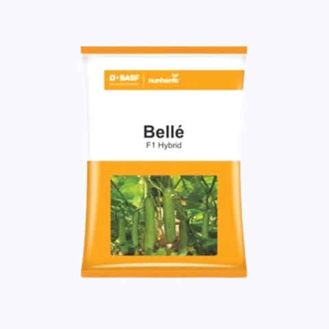 BASF Nunhems Belle Cucumber Seeds