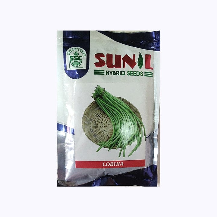 Sunil Goldi Cowpea Seeds