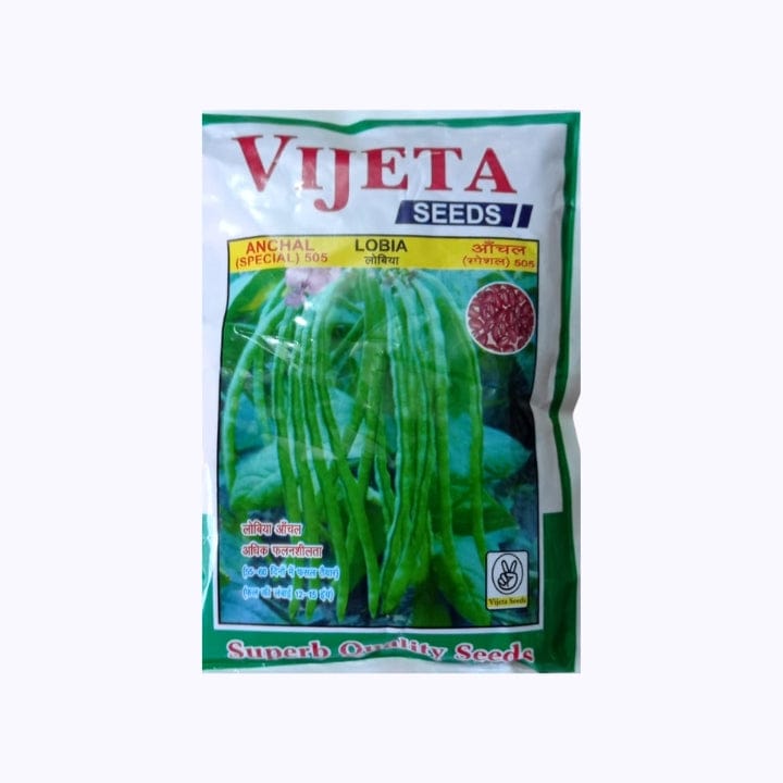 Vijeta Anchal (Special) 505 Lobia Seeds