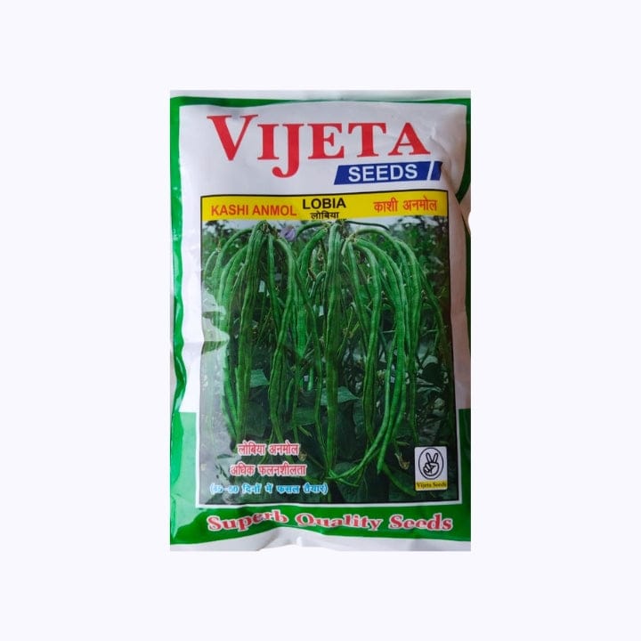 Vijeta Kashi Anmol Lobia Seeds