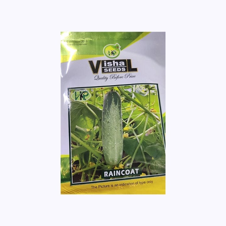 Vishal Raincoat Cucumber Seeds