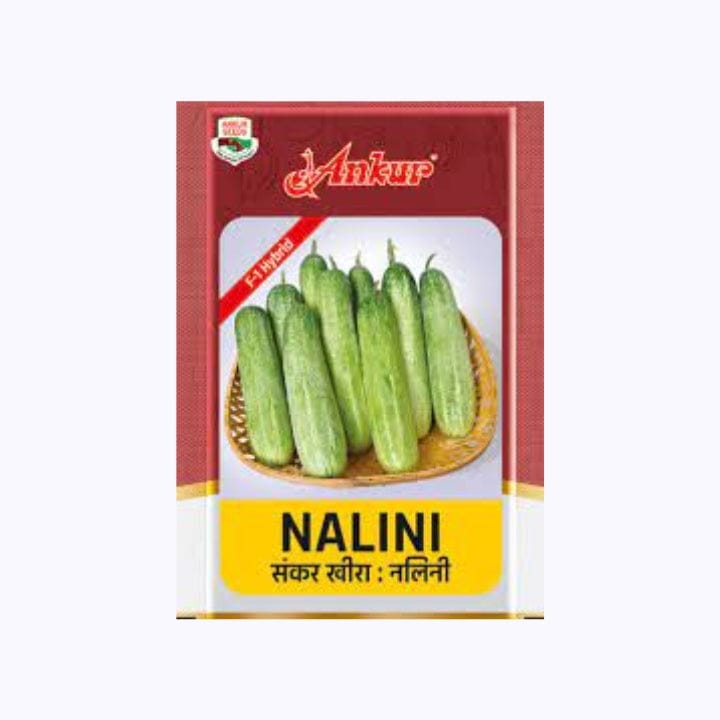 Ankur Nalini Cucumber Seeds