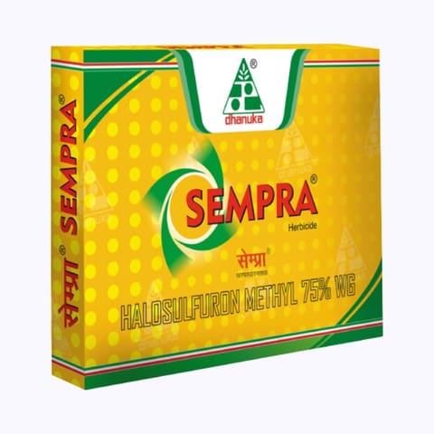 Dhanuka Sempra Herbicide - Halosulfuron Methyl 75% WG