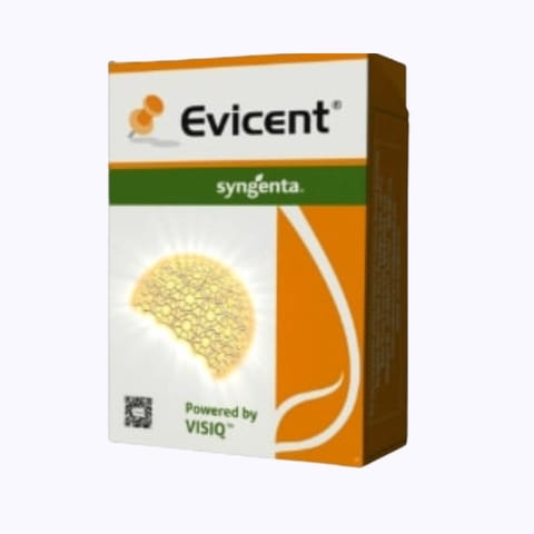 Syngenta Evicent Insecticide