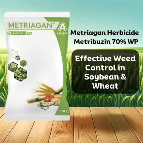 Adama Metriagan Herbicide - Metribuzin 70% WP