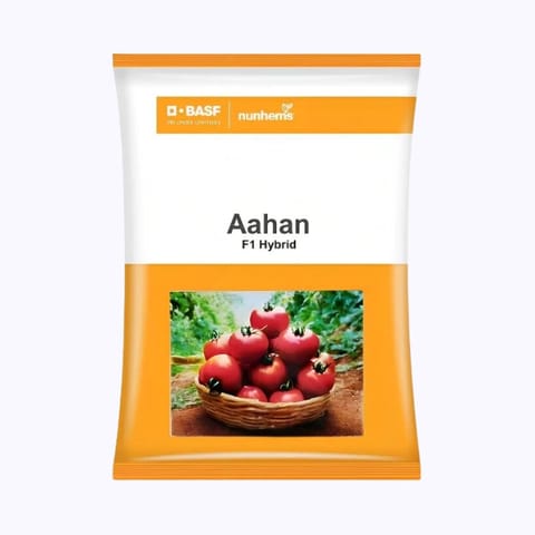 BASF Nunhems Aahan Tomato Seeds