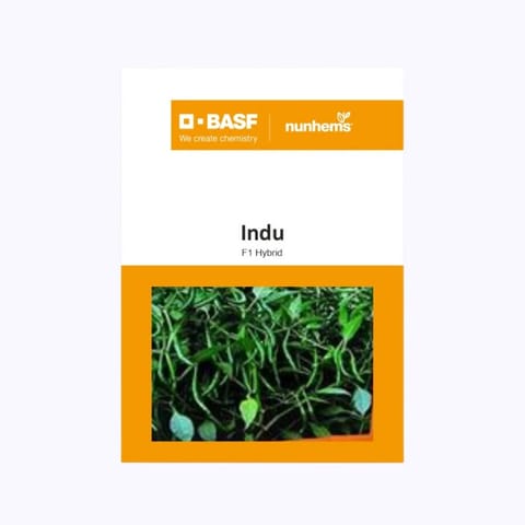 BASF Nunhems Indu Chilli Seeds