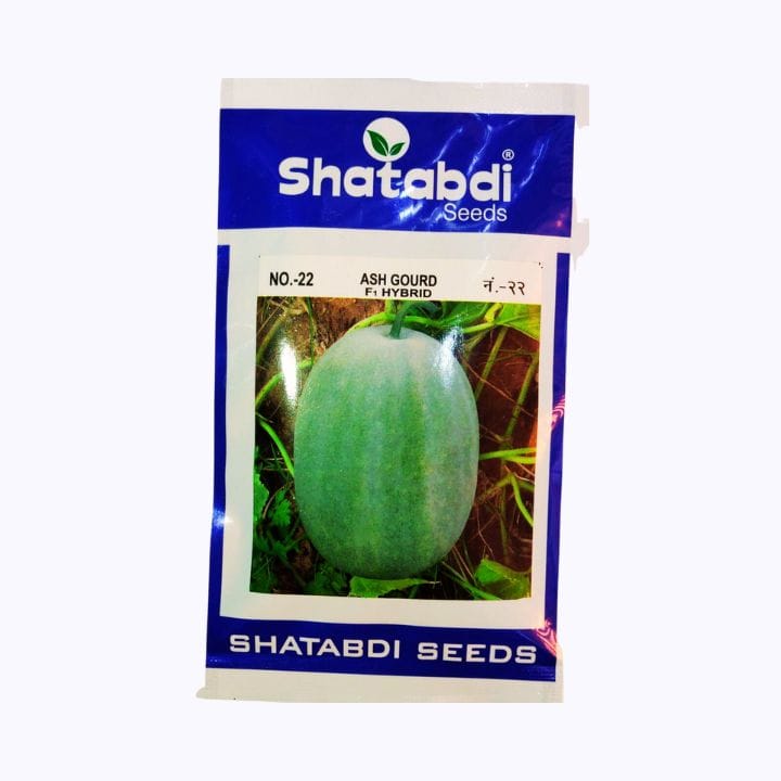 Shatabdi No.22 Ash Gourd Seeds