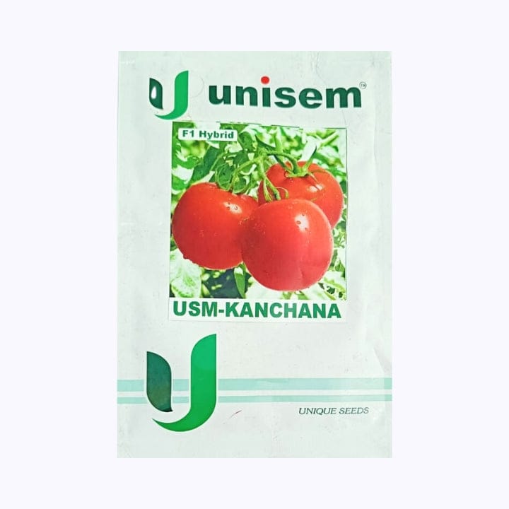 Unisem Kanchana Tomato Seeds