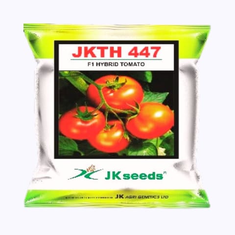 JK JKTH-447 టమోటా విత్తనాలు