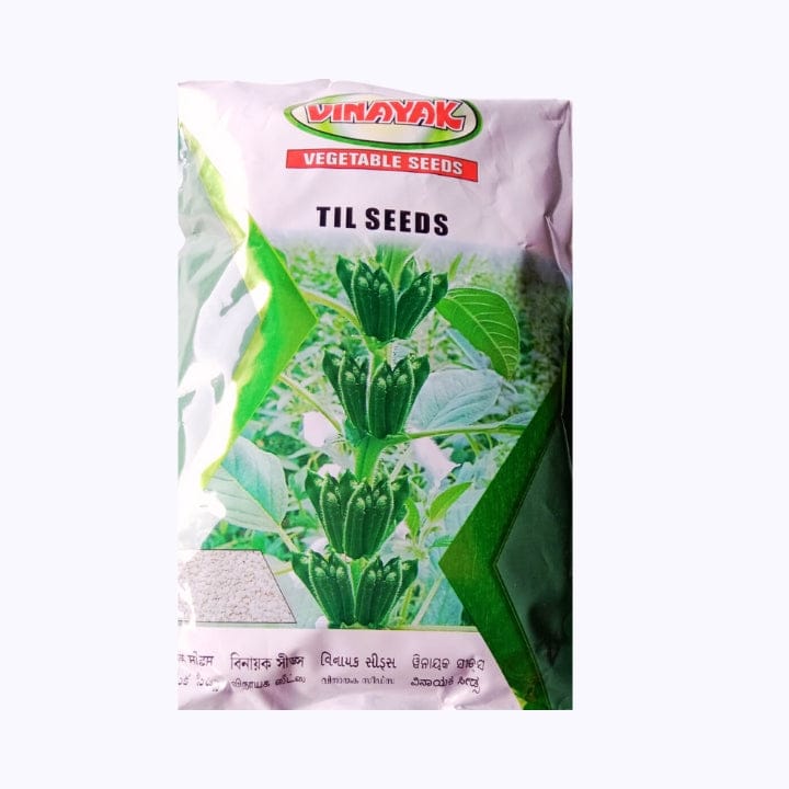Vinayak  Sesame (Til) Seeds