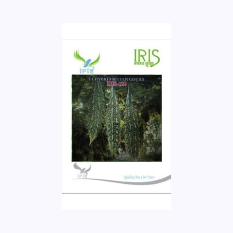 Iris IHS-132 Bitter Gourd Seeds