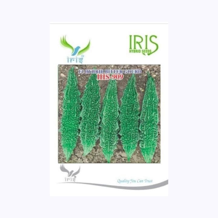 Iris IHS-909 Bitter Gourd Seeds
