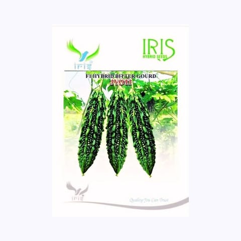 Iris Jyoti Bitter Gourd Seeds