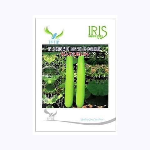 Iris Hazari-04 Bottle Gourd Seeds