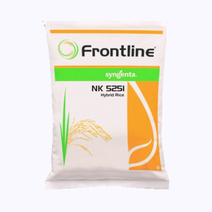 Syngenta NK 5251 Paddy Seeds