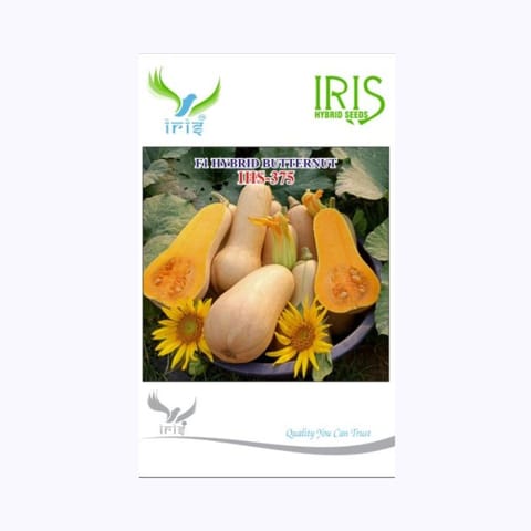 आइरिस IHS-375 बटरनट बीज