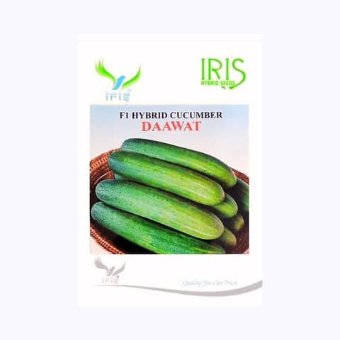Iris Daawat Cucumber Seeds