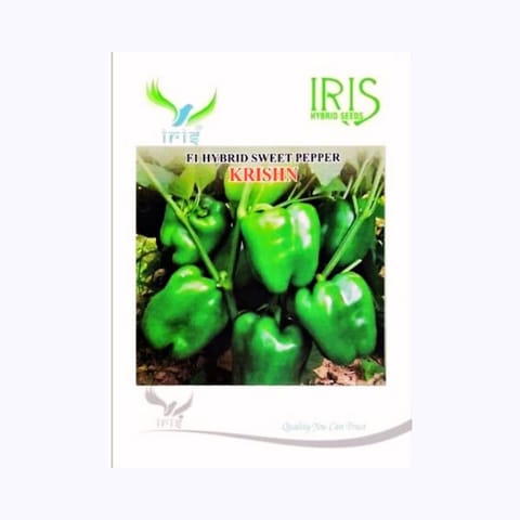 Iris Green Krishn Capsicum Seeds