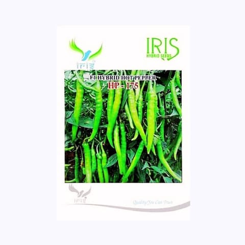 Iris HP-175 Chilli Seeds