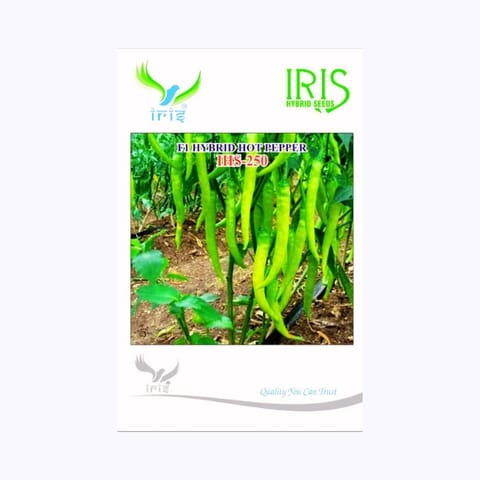 Iris HP-250 Chilli Seeds