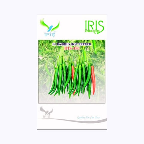 Iris HP-456 Chilli Seeds