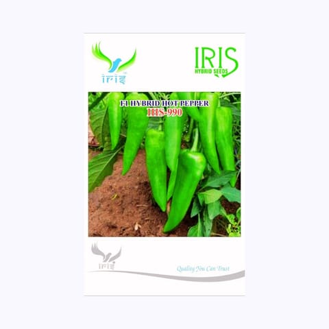 Iris IHS-990 Chilli Seeds