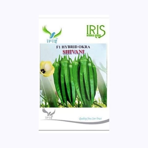 Iris Shivani Bhindi Seeds