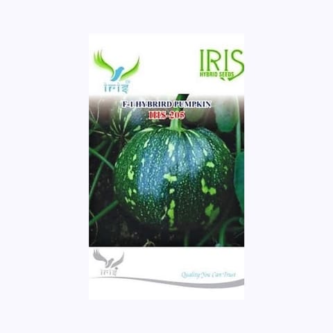 ఐరిస్ IHS-205 గుమ్మడికాయ గింజలు