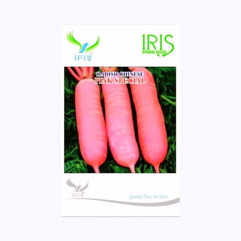 Iris Chinese Pink Radish Seeds