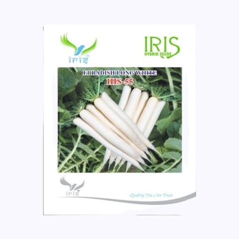 Iris Mino Early IHS-55 Radis Seeds