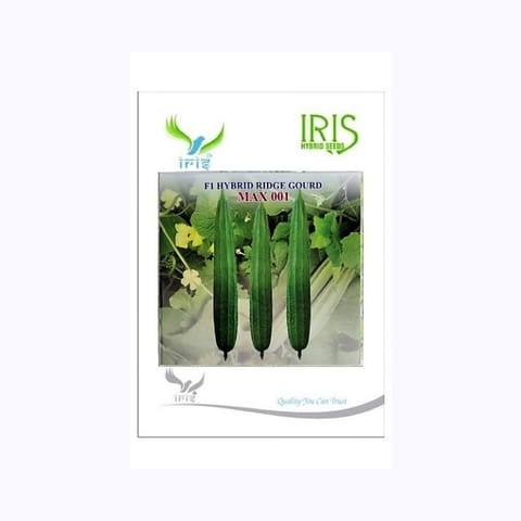 Iris Max-001 Ridge Gourd Seeds