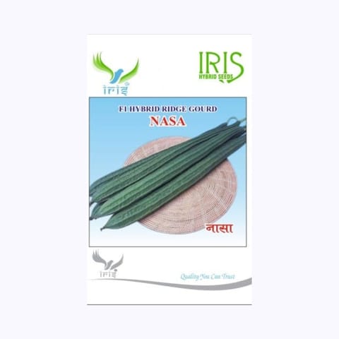Iris Nasa Ridge Gourd Seeds