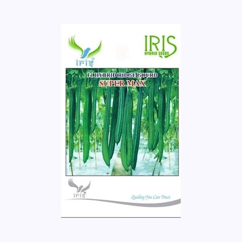 Iris Super Max Ridge Gourd Seeds