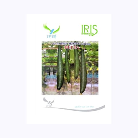 Iris Delta Sponge Gourd Seeds