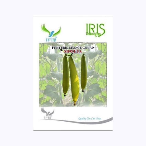 Iris Shweta Sponge Gourd Seeds