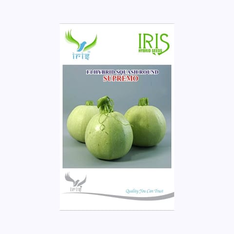 Iris Supermo Squash Seeds