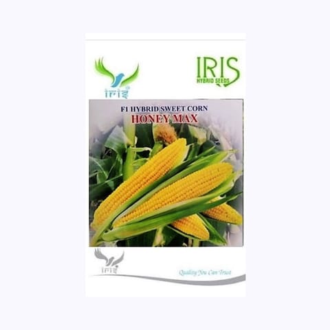 Iris Honey Max Sweet Corn Seeds