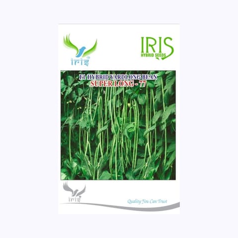 Iris Long-77 Beans Seeds