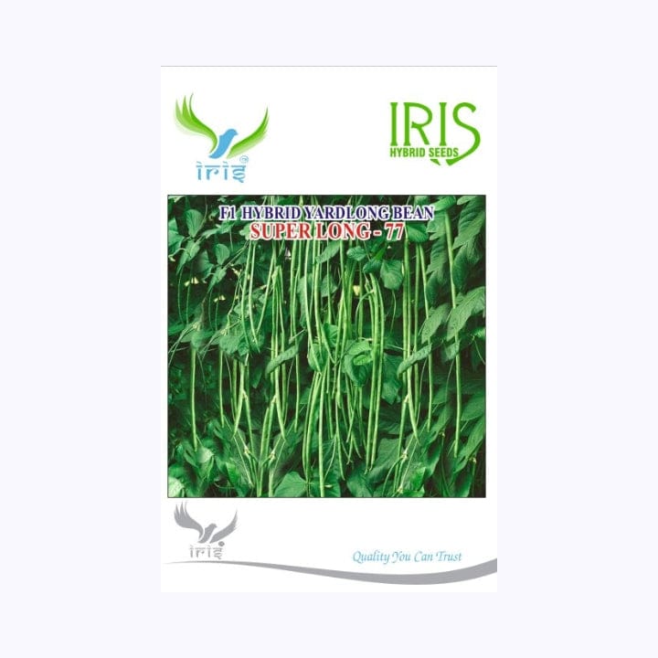 IRIS HYBRID F1 SUPERLONG-77 YARDLONG BEANS