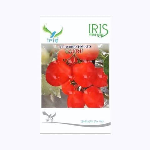 Iris Guru Tomato Seeds
