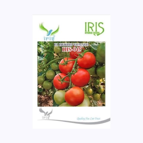 Iris IHS-045 Tomato Seeds