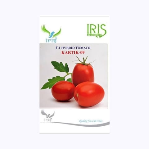 Iris Kartik-09 Tomato Seeds