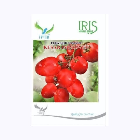 Iris Kesar Improved Tomato Seeds