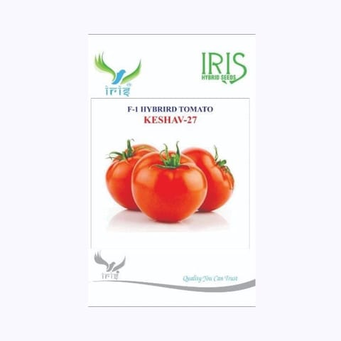 Iris Keshav 27 Tomato Seeds