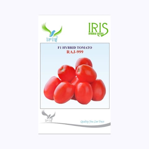 Iris Raj-999 Tomato Seeds