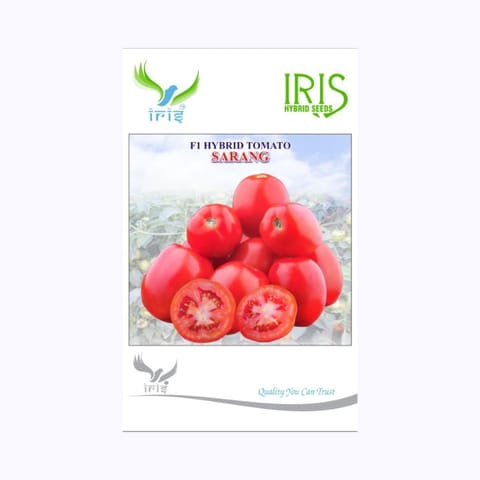 Iris Sarang Tomato Seeds