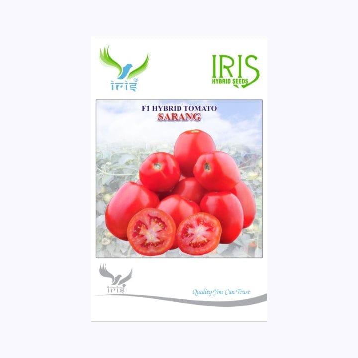 Iris Sarang Tomato Seeds
